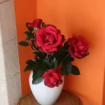 Mon Taj Mahal Bed & Breakfast 3*
