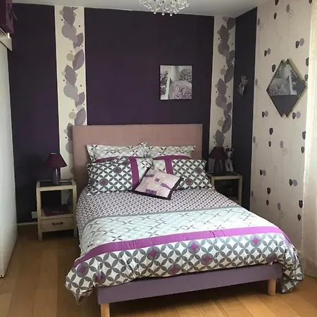 فندق مبيت وإفطار Mon Taj Mahal 3*