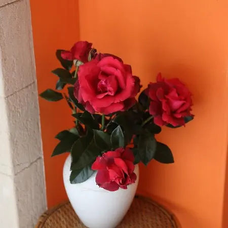 Mon Taj Mahal Bed & Breakfast 3*