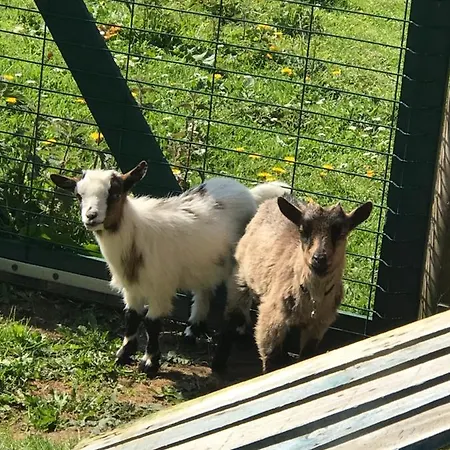 Bed & Breakfast Mon Taj Mahal Guéron