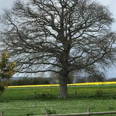 Mon Taj Mahal Bed & Breakfast 3*