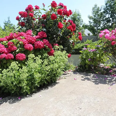 Mon Taj Mahal Bed & Breakfast 3*