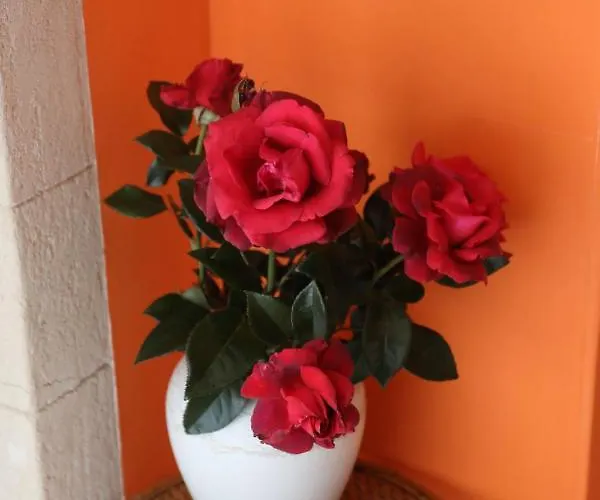 Mon Taj Mahal Bed & Breakfast 3*