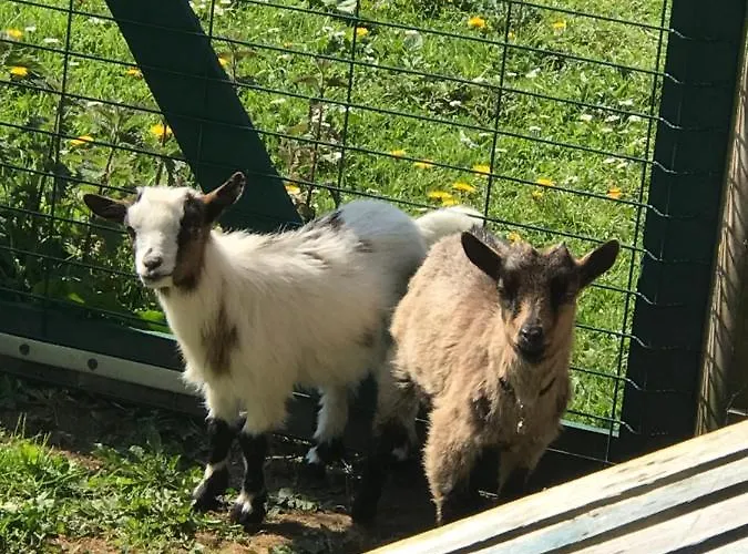 Bed & Breakfast Mon Taj Mahal Guéron
