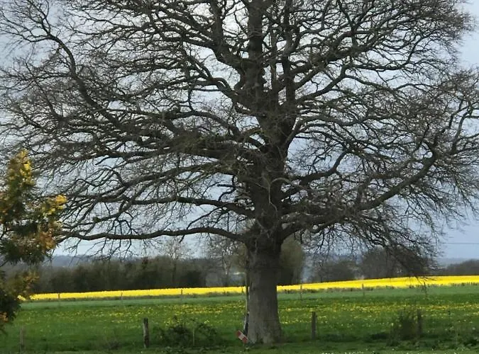 Mon Taj Mahal Bed & Breakfast 3*