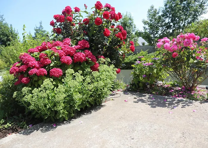 Mon Taj Mahal Bed & Breakfast 3*